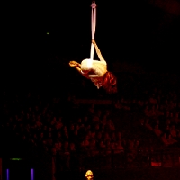 spectacle équestre de gilles fortier