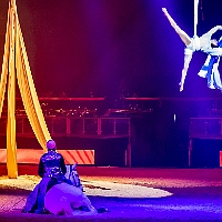 spectacle équestre de gilles fortier