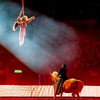 spectacle équestre de gilles fortier