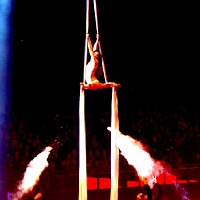 spectacle équestre de gilles fortier