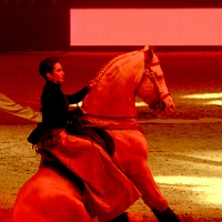 spectacle équestre de gilles fortier