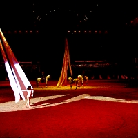 spectacle équestre de gilles fortier