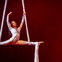 spectacle équestre de gilles fortier