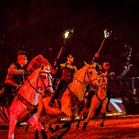 spectacle équestre de gilles fortier