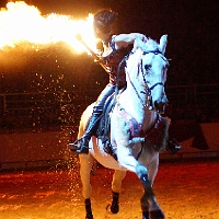 spectacle équestre de gilles fortier