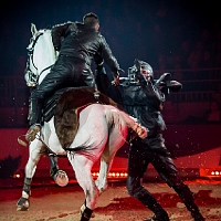 spectacle équestre de gilles fortier