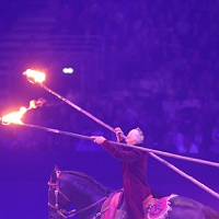 spectacle équestre de gilles fortier