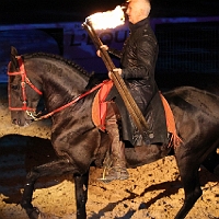 spectacle équestre de gilles fortier