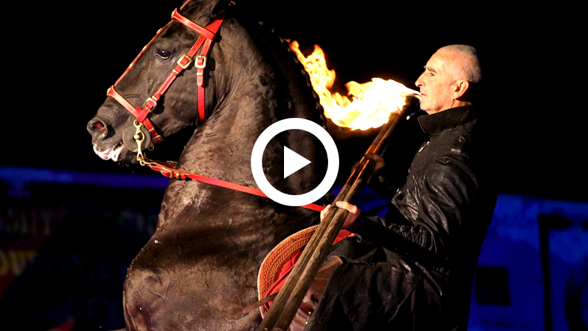 spectacle équestre de gilles fortier