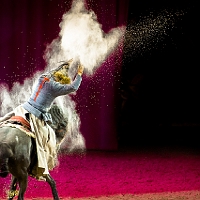 spectacle équestre de gilles fortier