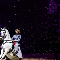 spectacle équestre de gilles fortier