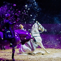 spectacle équestre de gilles fortier