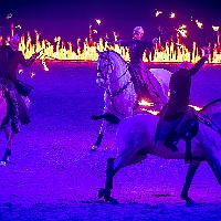 spectacle équestre de gilles fortier