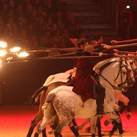 spectacle équestre de gilles fortier