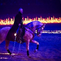 spectacle équestre de gilles fortier