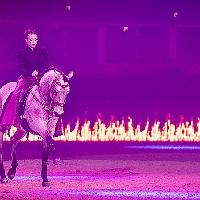 spectacle équestre de gilles fortier