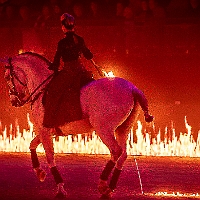 spectacle équestre de gilles fortier