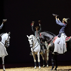 spectacle équestre de gilles fortier