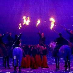 spectacle équestre de gilles fortier