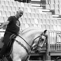 spectacle équestre coulisses foix