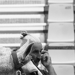 spectacle équestre coulisses foix