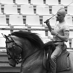 spectacle équestre coulisses foix