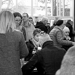 spectacle équestre coulisses