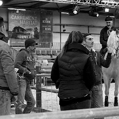 spectacle équestre coulisses