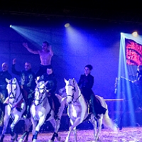 spectacle équestre de gilles fortier