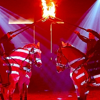 spectacle équestre de gilles fortier