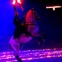 spectacle équestre de gilles fortier