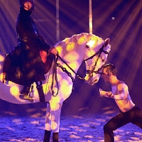 spectacle équestre de gilles fortier