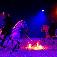 spectacle équestre de gilles fortier