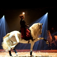 spectacle équestre de gilles fortier