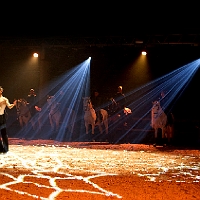 spectacle équestre de gilles fortier