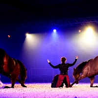 spectacle équestre de gilles fortier