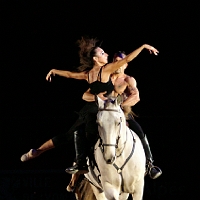 spectacle équestre de gilles fortier