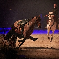 spectacle équestre de gilles fortier