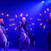 spectacle équestre de gilles fortier