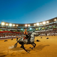 spectacle équestre de gilles fortier