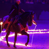 spectacle équestre de gilles fortier